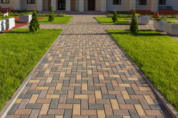 Best Driveway Paving Near Me  in Savannah, TN